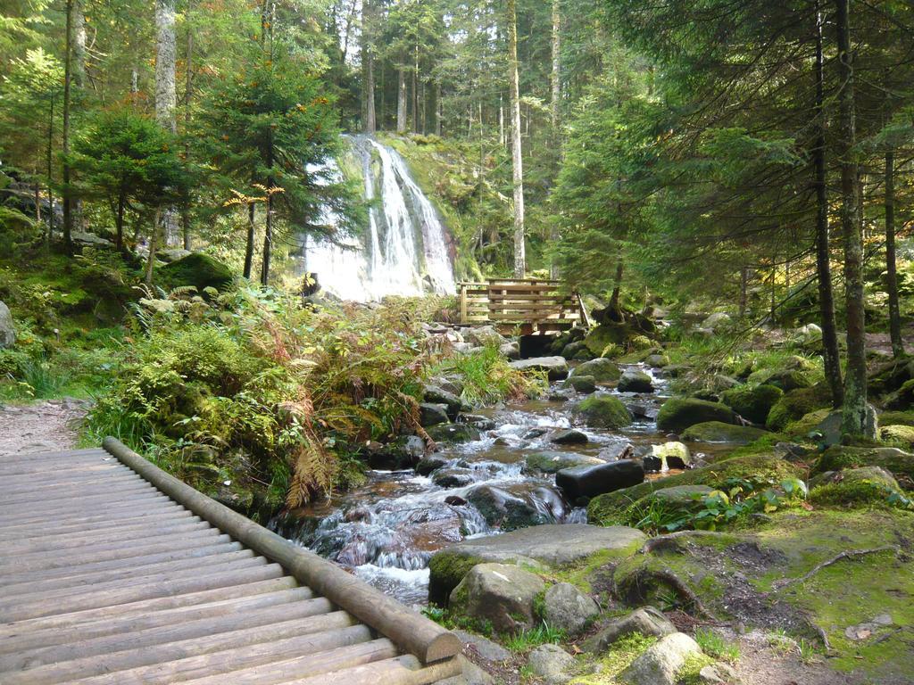 Chalet Luxe 12 Personnes Spa Sauna Vosges-Gerardmer Le Tholy Exterior foto